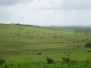 La Pastourelle 2010